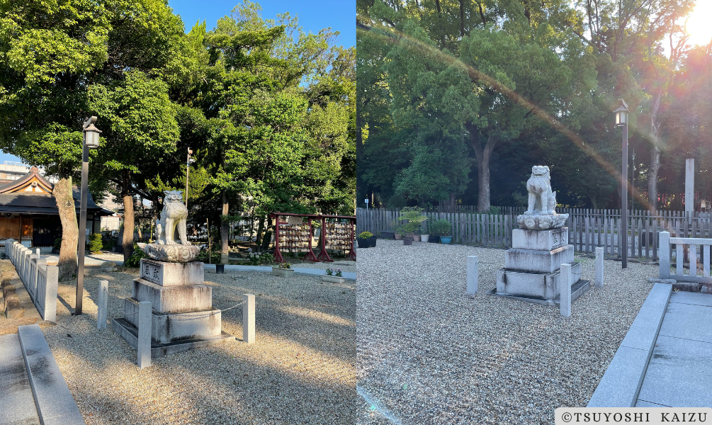 渋川神社-狛犬